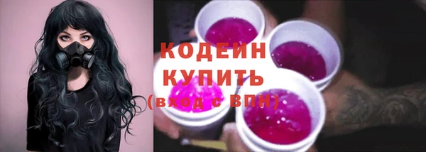 метадон Ельня