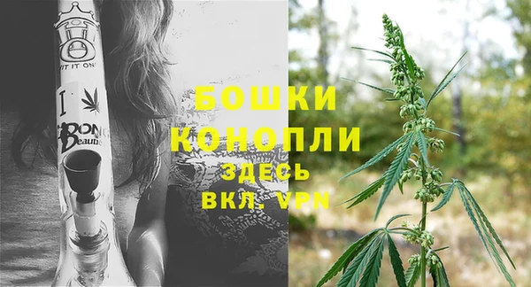 метадон Ельня