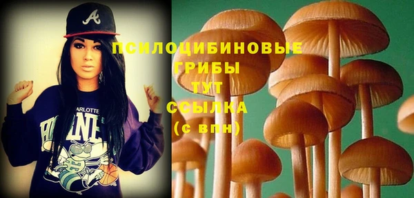 метадон Ельня