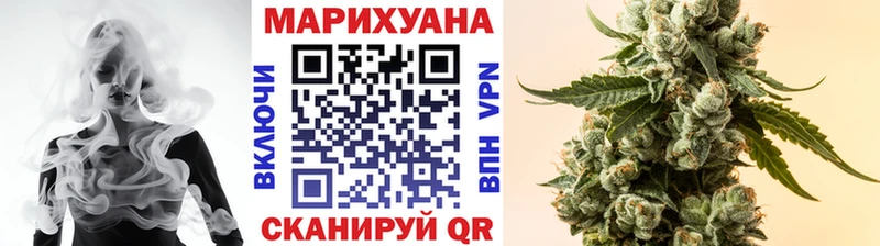 Шишки марихуана конопля Тайга
